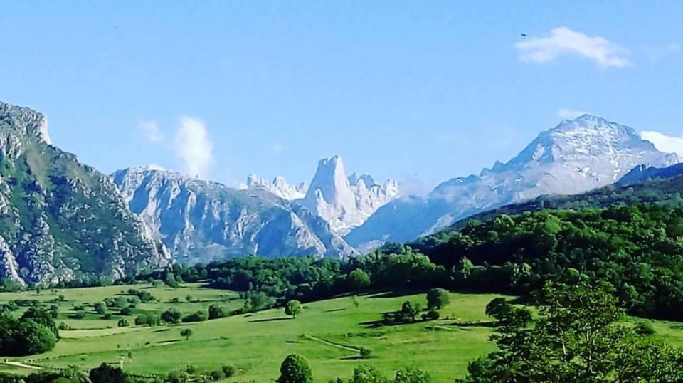 Hotel Arenas De Cabrales- Apartamentos Dış mekan fotoğraf