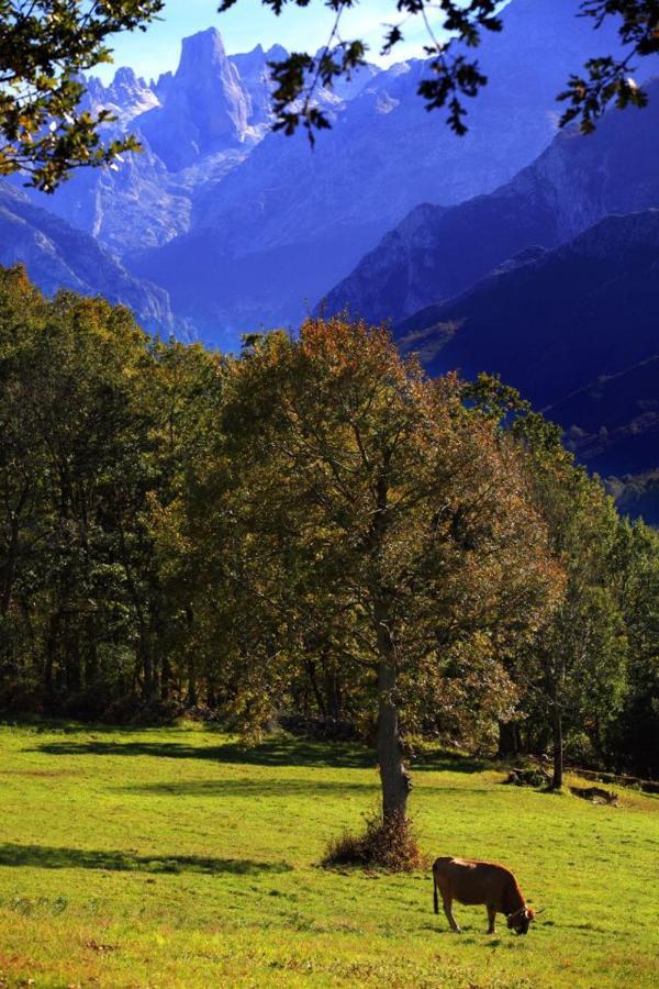 Hotel Arenas De Cabrales- Apartamentos Dış mekan fotoğraf