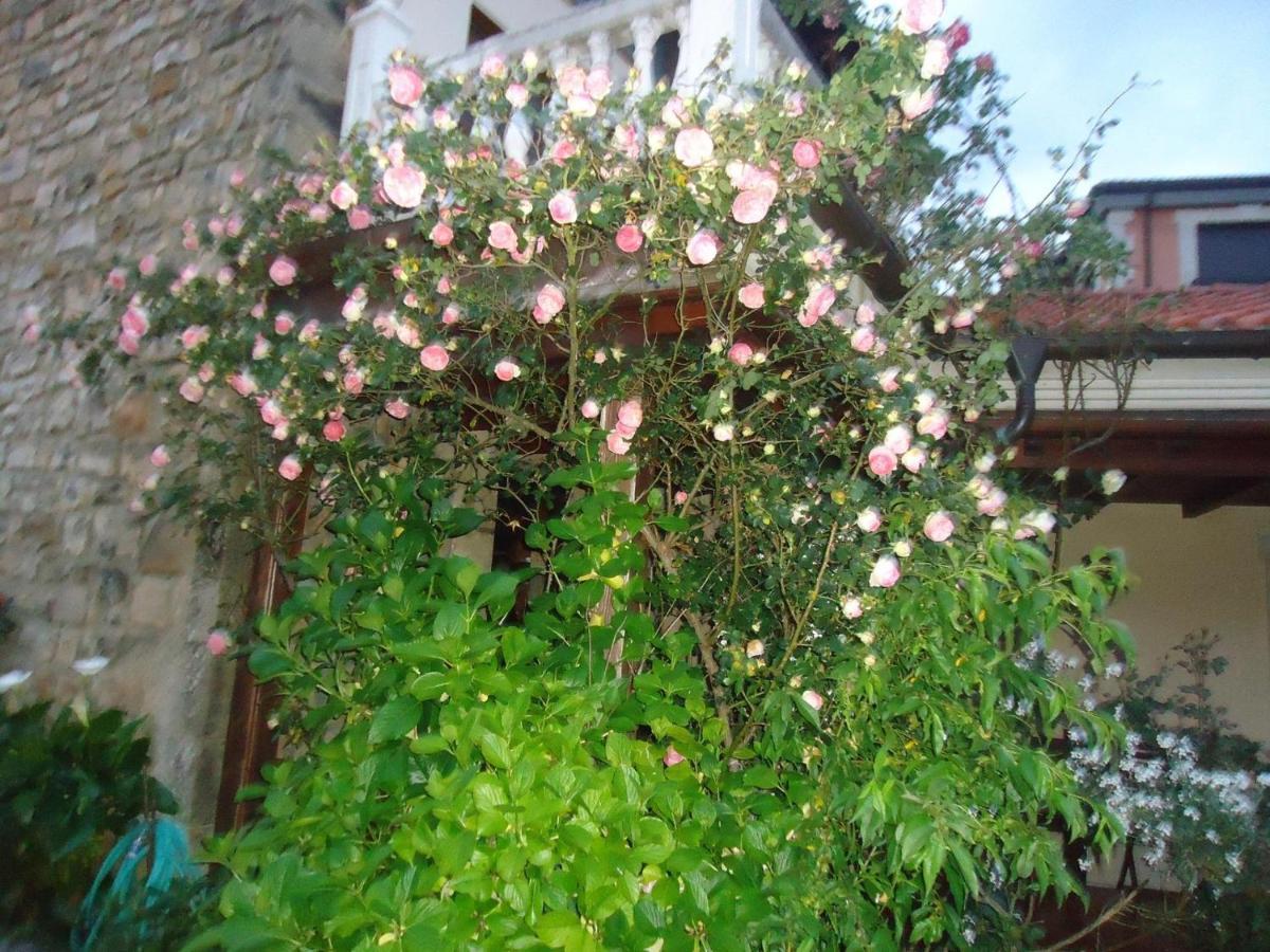 Hotel Arenas De Cabrales- Apartamentos Dış mekan fotoğraf