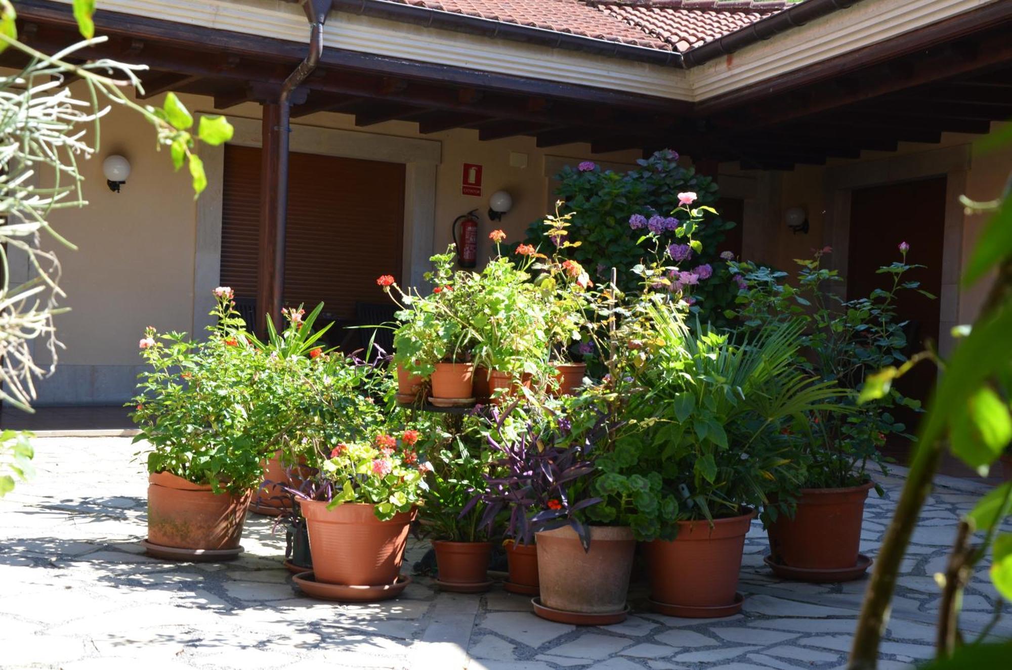 Hotel Arenas De Cabrales- Apartamentos Dış mekan fotoğraf